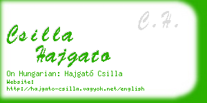csilla hajgato business card
