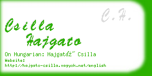 csilla hajgato business card